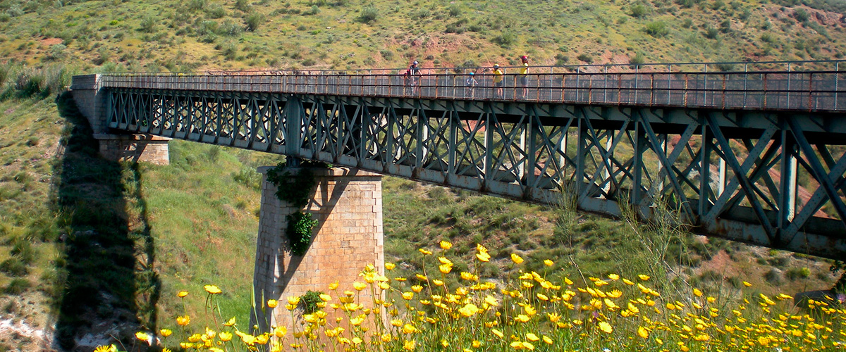 Bolet�n InfoV�as Verdes