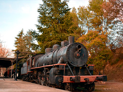 Restaurante albergue El TREN
