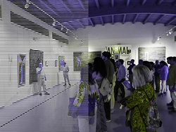 Fundacin Olontia
