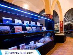Museo de Historia Natural de Torrevieja