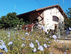 Albergue Hostel Va de La Plata