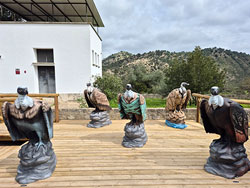 Centro de interpretacin y Observatorio ornitolgico del Pen de Zaframagn 