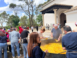 XXVI edici�n del D�a Nacional de las V�as Verdes