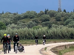 XXVI edici�n del D�a Nacional de las V�as Verdes