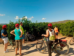 Fam Trip turoperadores alemanes V�a Verde Ojos Negros