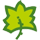 Hoja 5