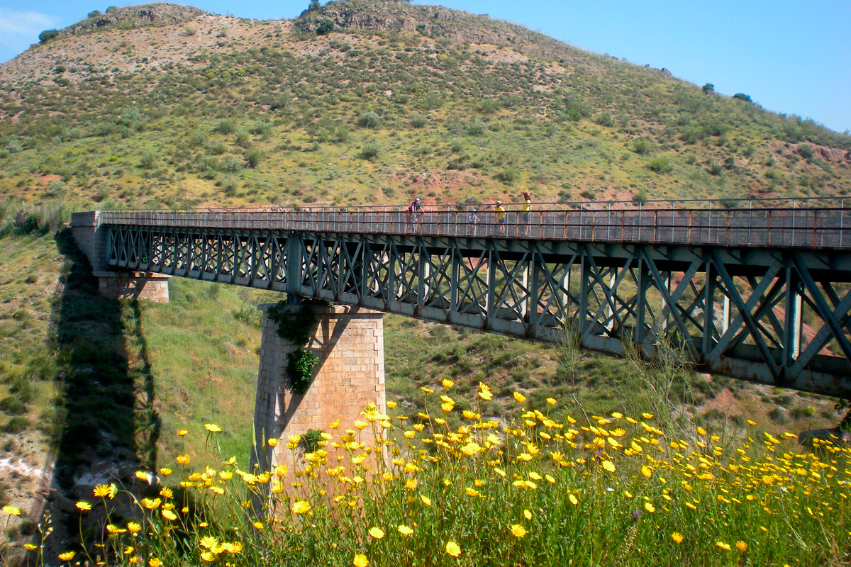 Vía Verde del Aceite - Viaductos