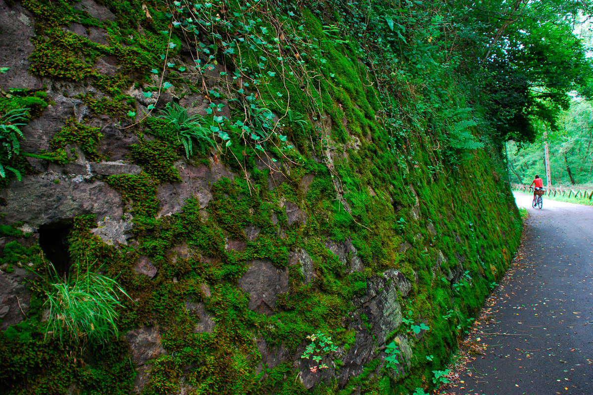 Vía Verde de Arditurri - El valle del río Oiartzun
