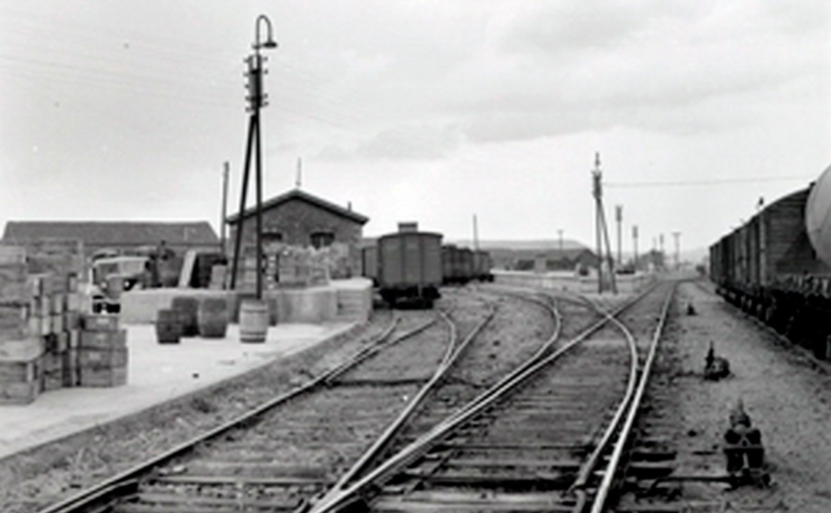 Vía Verde del Cidacos - Historia del Ferrocarril