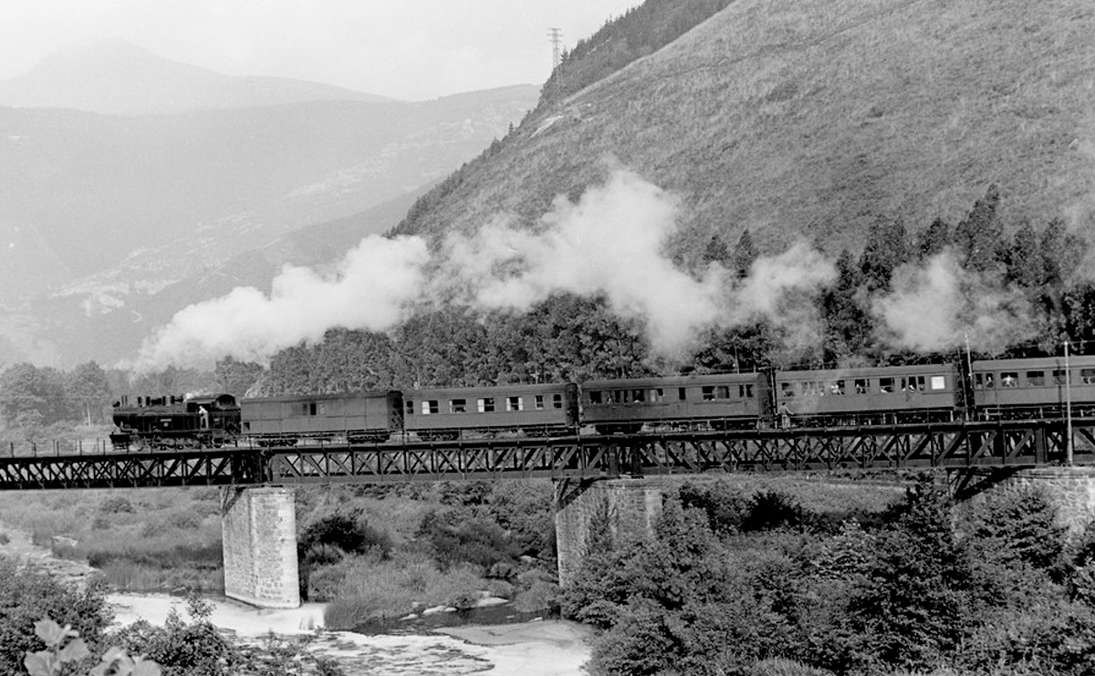 Vía Verde de los Ferrocarriles Vacongados - Historia del Ferrocarril