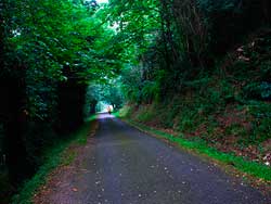 Va Verde del Eo. Galera de fotos