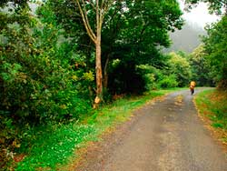 Va Verde del Eo. Galera de fotos