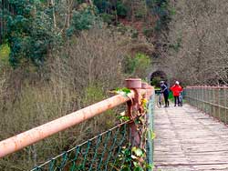Va Verde del Eo. Galera de fotos