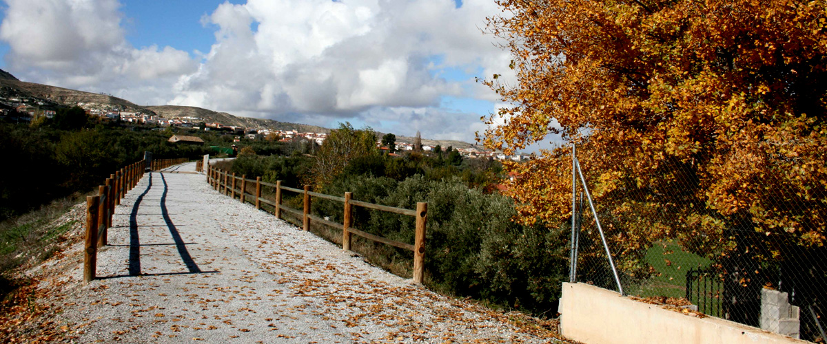 Va Verde del FC Guadix-Almendricos (Baza-Valle del Almanzora)