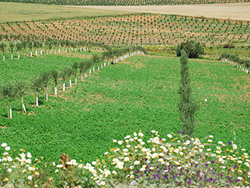 Vía Verde de la Campiña. Galería de fotos