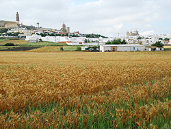 Vía Verde de la Campiña. Galería de fotos
