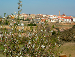Va Verde de Ojos Negros (Teruel). Galera de fotos