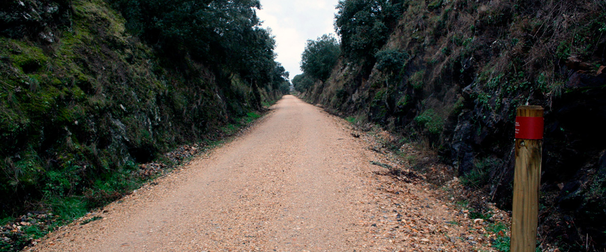 Va Verde Ruta de la Plata (Salamanca-Alba de Tormes)