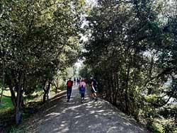 Va Verde do Salns. Galera de fotos