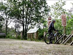 Va Verde do Salns. Galera de fotos