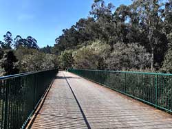 Va Verde do Salns. Galera de fotos