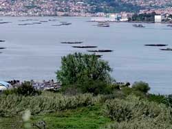 Va Verde de Vigo-Redondela. Galera de fotos