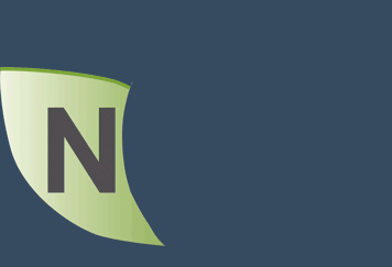 Visualizador IGN