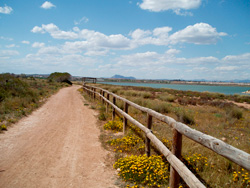 Vía Verde de Torrevieja. Galería de fotos