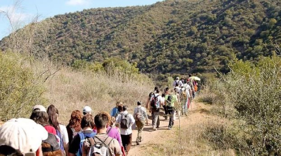 Actualidad V�as Verdes