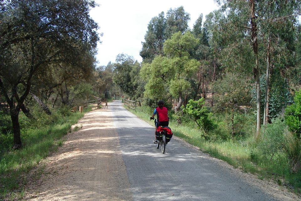 Actualidad Vas Verdes