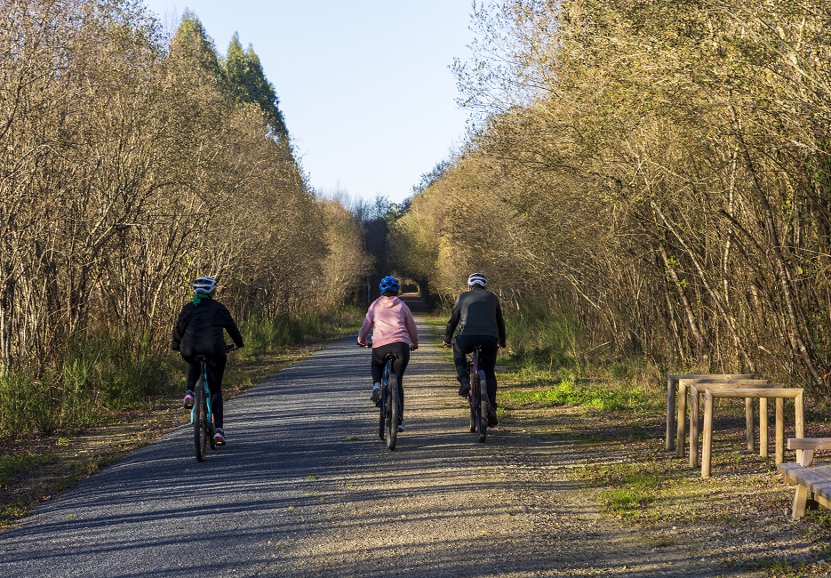 Actualidad Vas Verdes