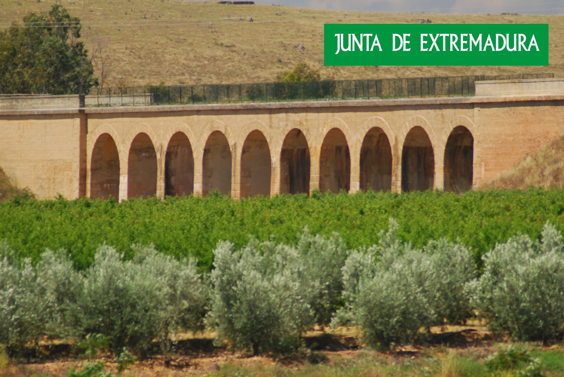 Actualidad Vas Verdes