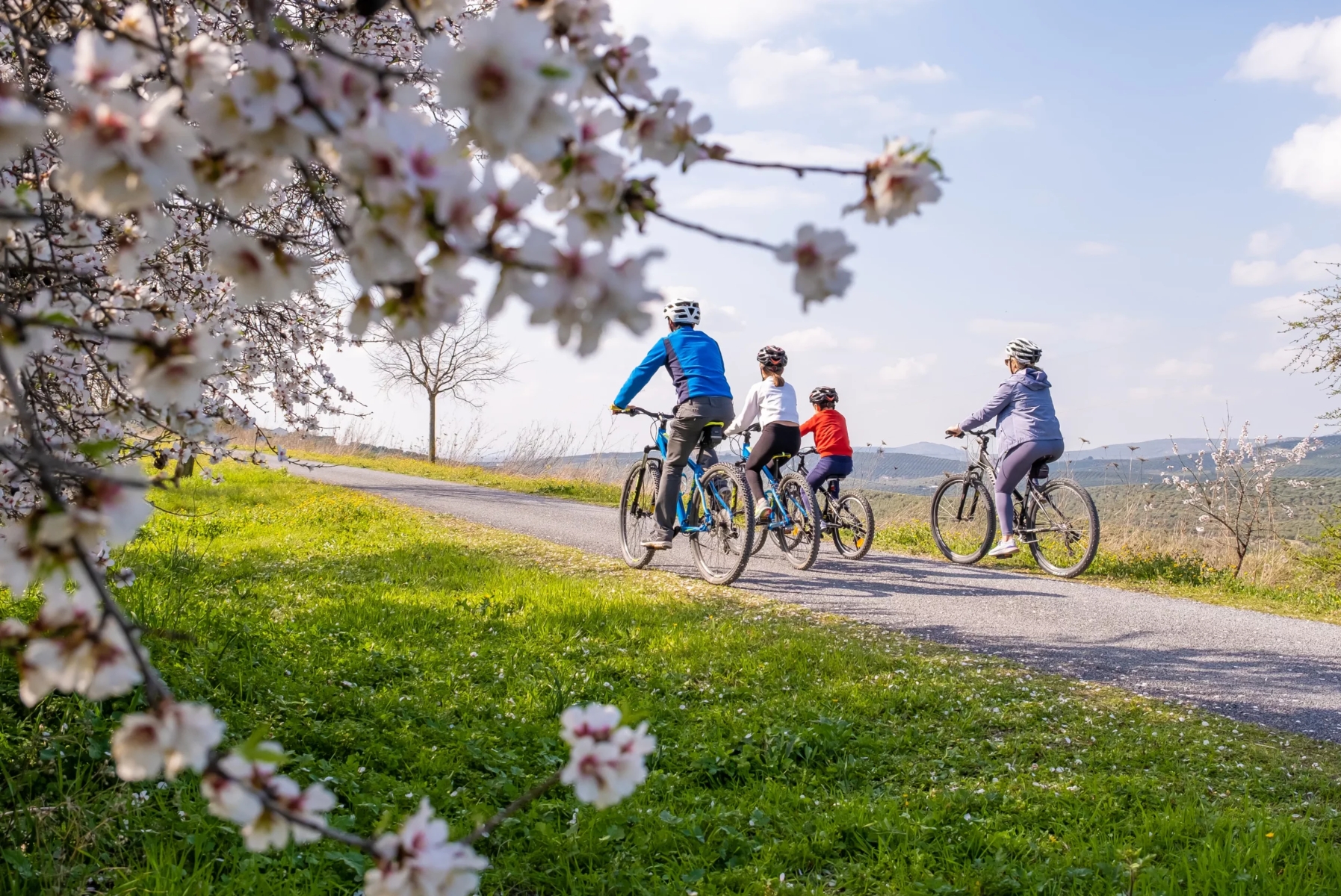 Actualidad Vas Verdes