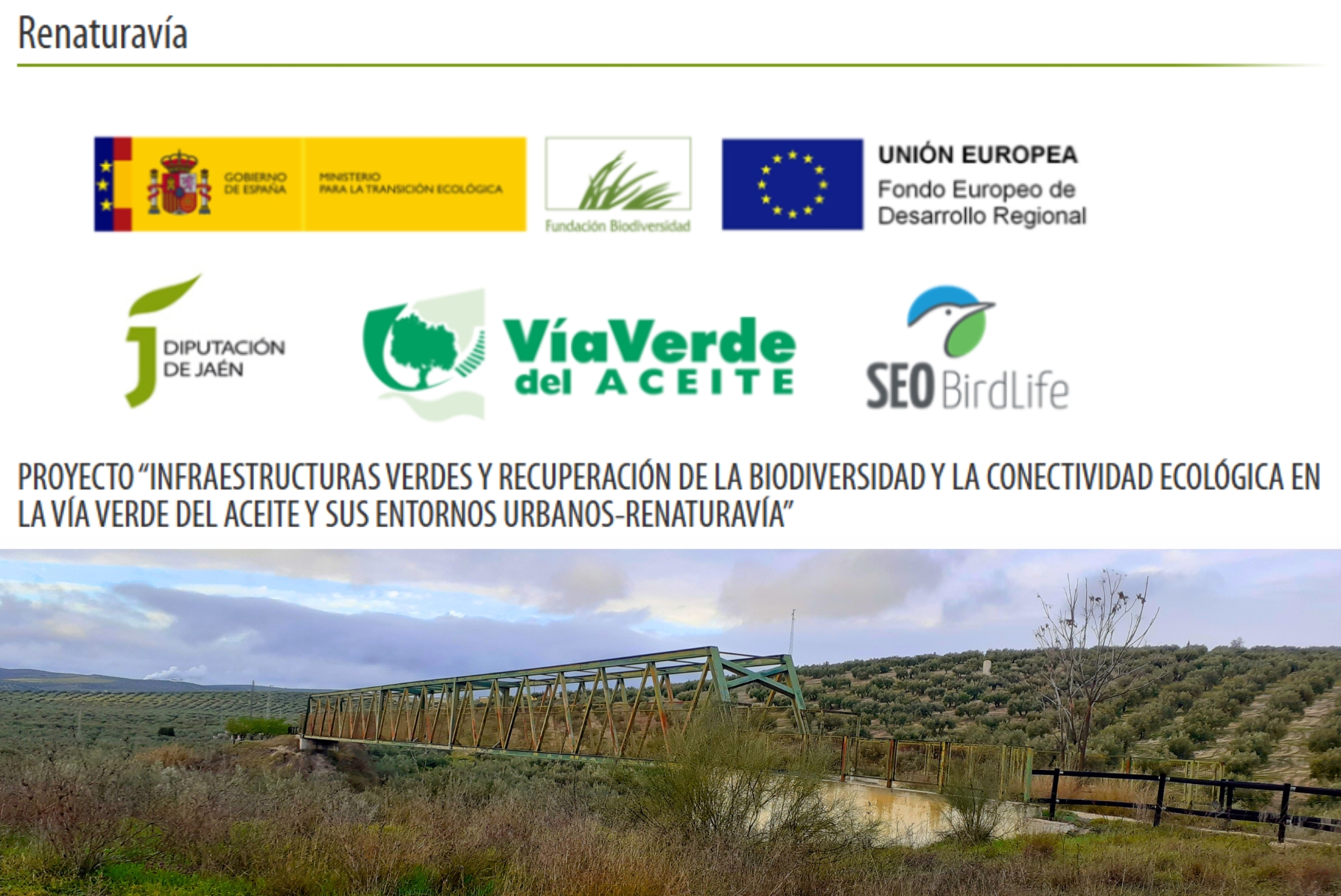 Actualidad Vas Verdes